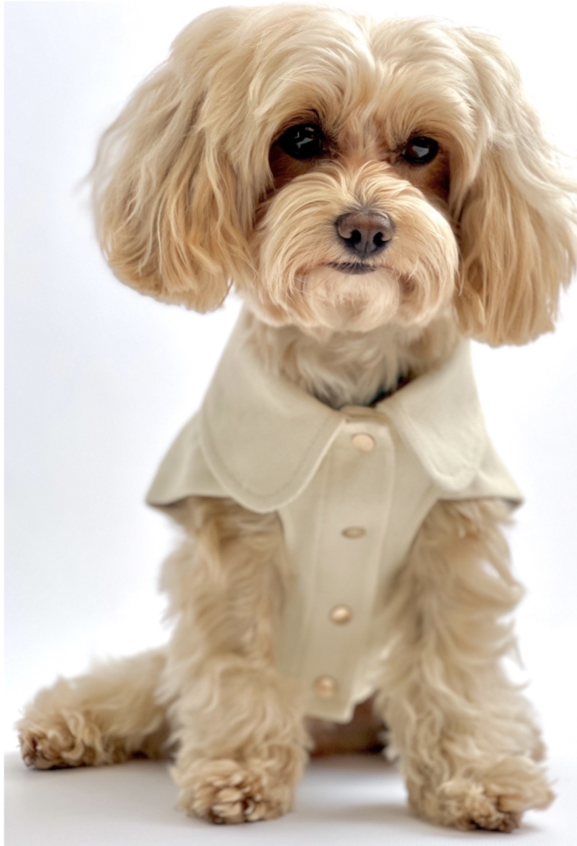 0CCB97E9-22F6-432D-89A8-99477922BBCB