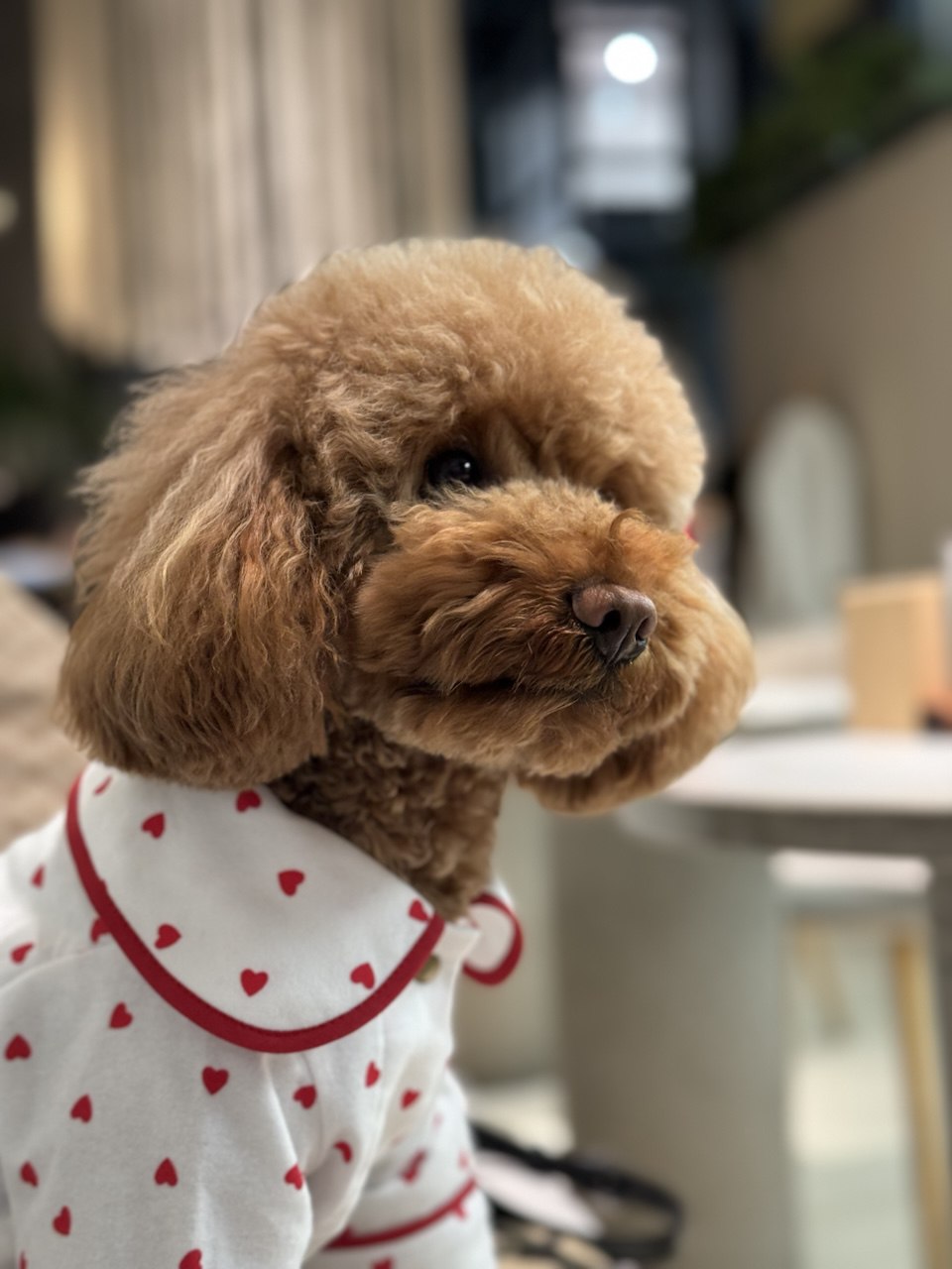 5244869854509525013_121