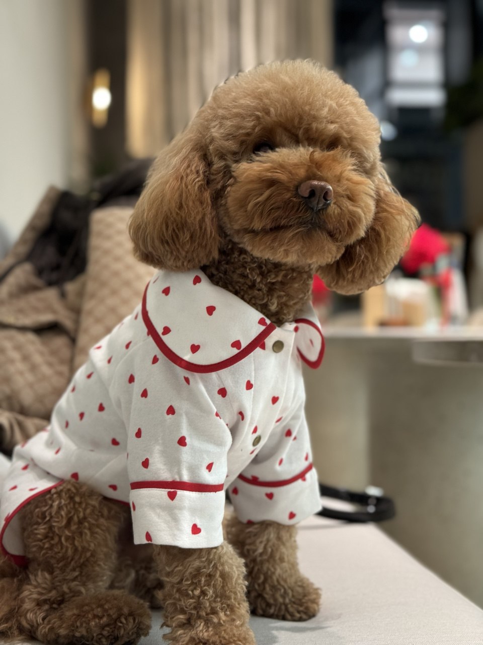 5244869854509525015_121