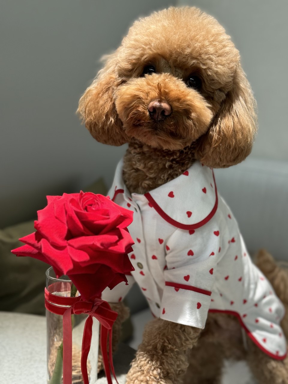 5244869854509525017_121