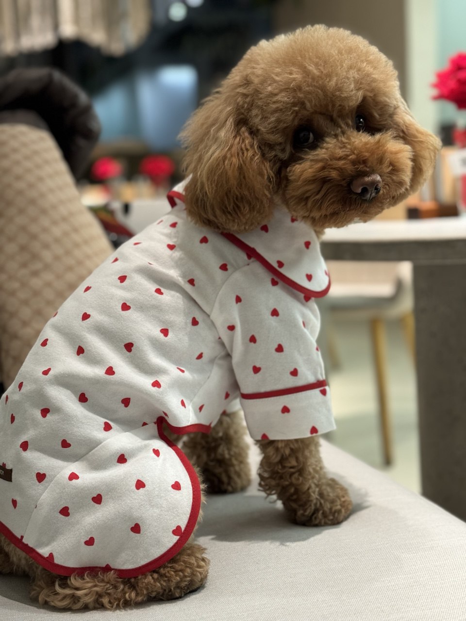 5244869854509525018_121