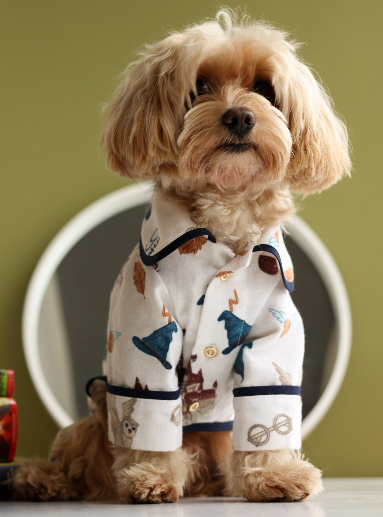 гарри поттер