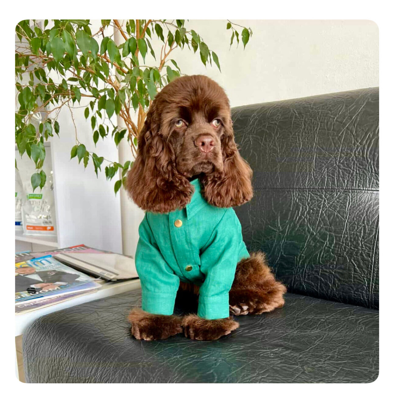 2A2F0D2E-C501-4B27-891F-EFDD21E01E79