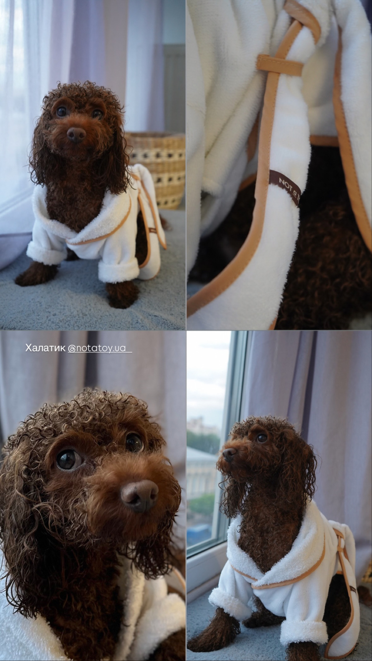 BC9F743B-F990-4B81-8871-219372657FB7