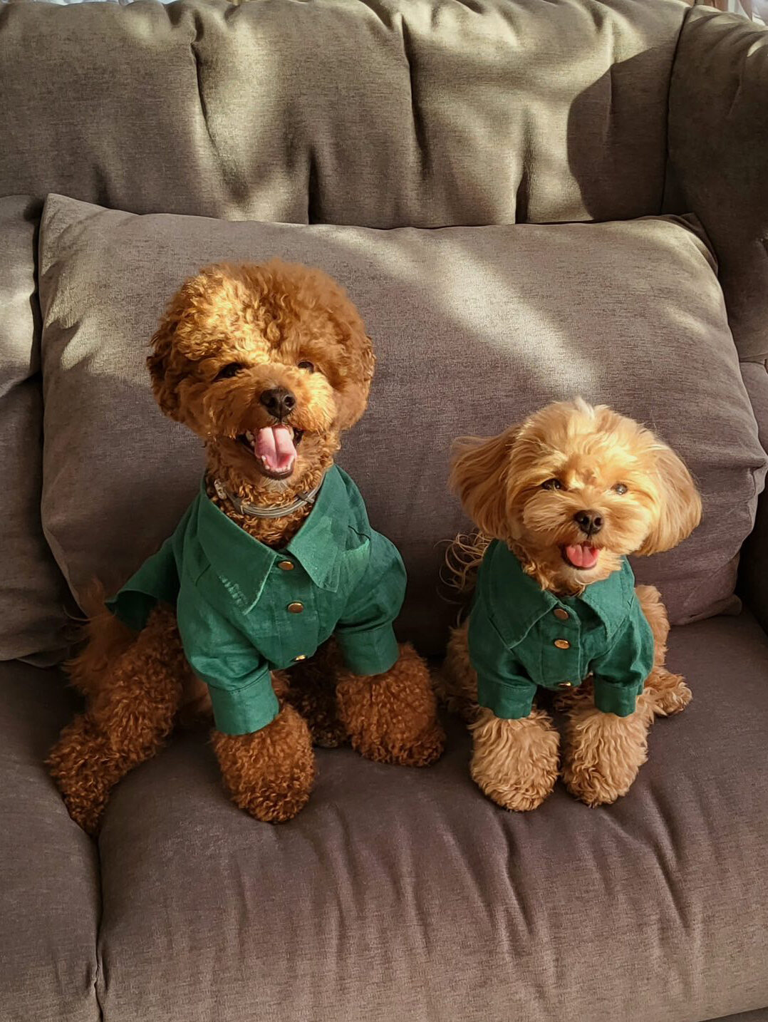 09359277-CFDE-4506-B71E-ECA1B2486DCD