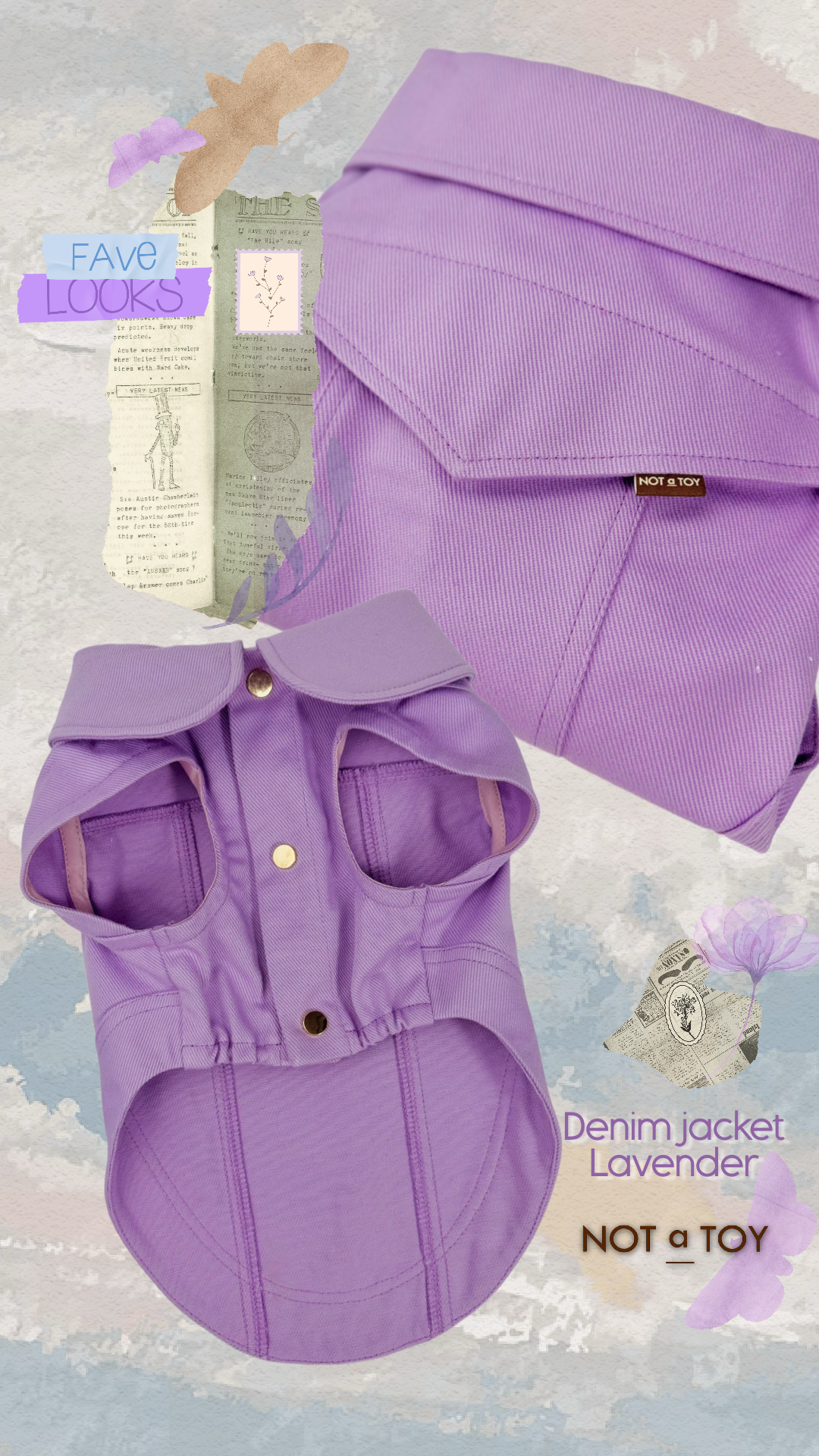 instories_01F530F5-F26C-4737-B4DB-664FA480B487