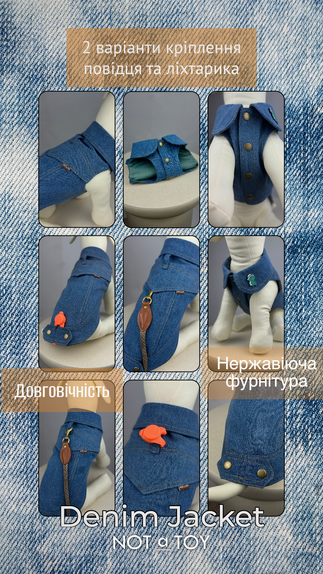 instories_2D94E78D-96E5-4108-85C1-3993241338DB